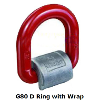 Il acciaio al carbonio ha forgiato la saldatura di D Ring Power Coated G80 in anelli a D con l'involucro